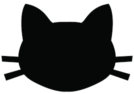 Pin On Cats