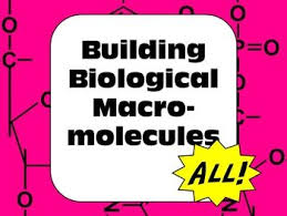 Biochemistry Tests For Food Macromolecules Carbohydrates Macromolecule Biochemistry Activity For Ap High School Biology Distance Learning Biology Activity Macromolecules Teaching Biology