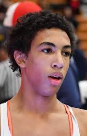 Meet the 2019-20 All-Livingston County wrestling team