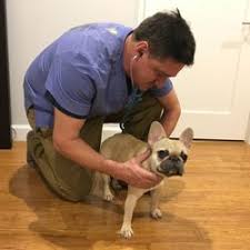Mehr als 200.000 maschinen sofort verfügbar. Best Holistic Vet Near Me March 2021 Find Nearby Holistic Vet Reviews Yelp