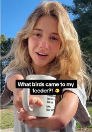 Attracting Birds with New Feeders: A Success Story