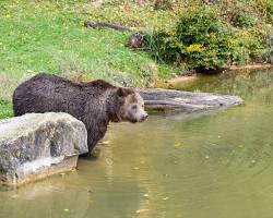 Wildnispark Langenberg