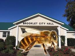 Also bees wax, bees wax candles, and bee pollen. Brooklet Beekeepers Feeling Sting After City Crackdown On Hives Allongeorgia