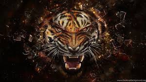 Hd wallpapers and background images. Full Hd 1080p Tiger Wallpapers Hd Desktop Backgrounds 1920x1080 Desktop Background