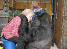 Coming Out Against Betty White An Animal Rights Article From All Creatures Org