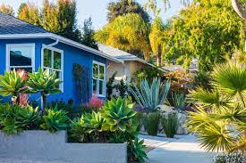 Check spelling or type a new query. A Beginner S Guide To Drought Tolerant Landscaping In California