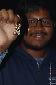 Wild Sayak (@WildSayak) • Facebook