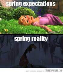 Spring Expectations Vs Reality Disney Memes Funny Pictures Funny Memes