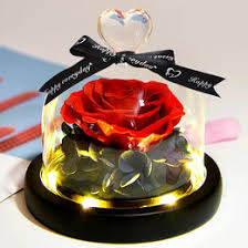 Maybe you would like to learn more about one of these? Preserved Flowers Wholesale Preserved Flowers Wholesalers Global Sources