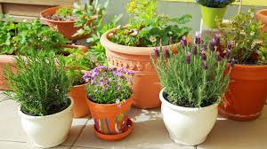 Making a wooden planter box is very easy! Container Gardening How To Grow Flowers In Pots Today S Homeowner