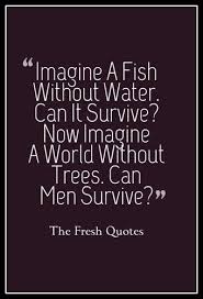 73 Environment Quotes Slogans Save Our Beautiful Earth Quotes And Sayings Environment Quotes Environment Day Quotes Environmental Quotes