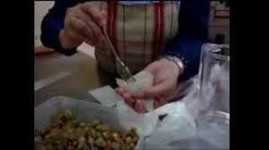 Sambosa / samosa rofa sayur. Kerja Sambilan Di Rumah Cara Buat Samosa Untuk Tambah Pendapatan By Nik Wan