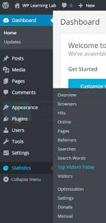 Voorziet woocommerce 22% van de top 1 miljoen ecommerce websites in de wereld. Wp Statistics Wordpress Plugin How To