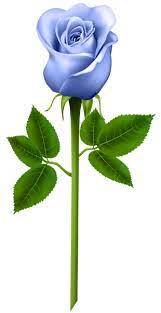 Blue Rose Transparent Png Image Blue Flower Wallpaper Flower Painting Purple Roses