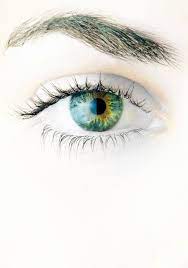 Pin By Derrick L Davis On Eyes Lips Fingers Hair Eye Surgery Laser Eye Surgery Eyes