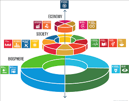 The result was the sdgs, a list of 17 goals to achieve a better and more sustainable future for all by 2030. Resources Sdgs 2020 Igem Org
