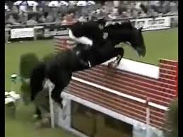 самый большой конь в мире занесенный в книгу гиннеса Mirovoj Rekord Konkur 240sm Franke Slotak Na Leonardo Youtube