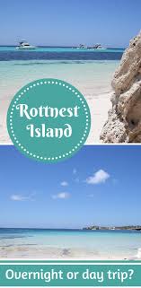Should You Visit Rottnest Island For A Day Trip Or Overnight No Contest Not A Ballerina Western Australia Road Trip Trip Australia Travel