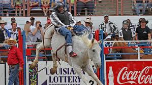 Community contributor can you beat your friends at this quiz? The Top 12 Questions About Prison Rodeos Trivia Happy