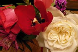 Uk home and garden blog sharing ideas, inspiration and tips for busy family life, written by catherine hughes. Uk Cut Flowers Fall Under The Spotlight Horticulture Week