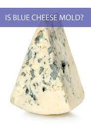 Is Blue Cheese Mold Cheese Mold Cheese Moldy Cheese