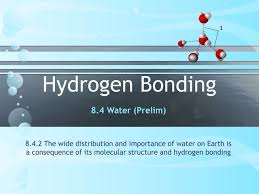 Is H2O Capable Of Hydrogen Bonding? - Quora