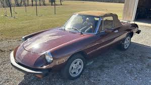 Image result for Rosso 1980 Alfa-Romeo