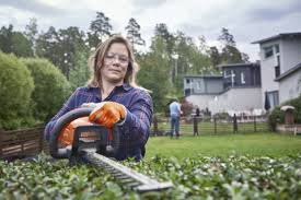Our beech hedges are cut only once, towards the end of the growing season in august. How To Trim An Overgrown Hedge Without Killing It Manjimup Motors