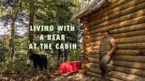 Maybe you would like to learn more about one of these? Living With A Blackbear At The Off Grid Cabin In The Forest And Installing Windows Youtube