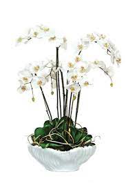 We did not find results for: Beautiful White Orchid Silk Flower Arrangement In Ceramic Bowl Free Shipping Faux Flower Arrangements Flower Arrangements Beautiful Flowers