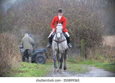 Chippenham Uk Dec 26 2015 Hunt Stock Photo 355899365 | Shutterstock