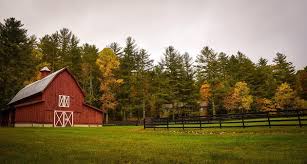 Cjeu Issues Decision On Rural Property Lease Vat Exemption International Tax Review