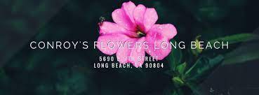 Maybe you would like to learn more about one of these? Conroy S Flowers Long Beach Home Facebook