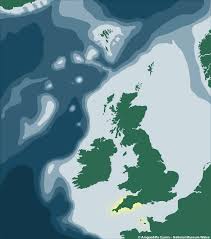 Image result for Galeomma