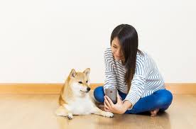 照片- 資安趨勢部落格