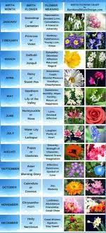 Birth month flowers and their meanings are each designated to a special month. 8 Birth Month Symbols Ideas Birth Month Birth Month Flowers Flower Meanings