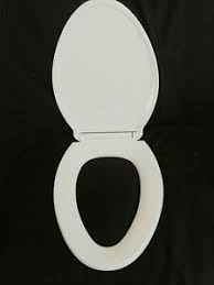 Our trained experts have spent days researching the best toilet seats⬇️ ✅1 this is the best toilet seat review. Kohler 17 White Toilet Seat With Cover Plastic Elongated Oval Ebay