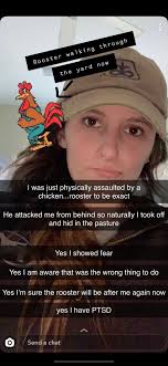 Allison Vincent (@allison_vincent)