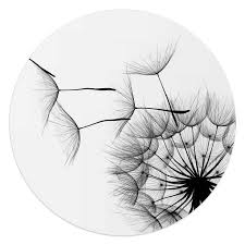 Hier finden sie garantiert ihr passendes wunschmotiv um daraus selbst eineleinwand, fototapete, poster, wandklebefolie oder. Pusteblume Lowenzahn Nahaufnahme Modern Glasbild Schwarz Weiss Reinders