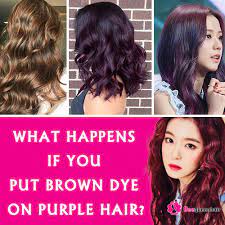 Burgundy hair purple hair red brown hair color. What Happens If You Put Brown Dye On Purple Hair Beequeenhair Blog