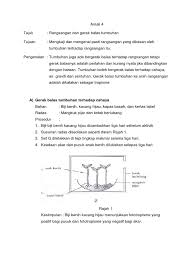 Gerak balas menjauhi rangsangan disebut sebagai tropisme negatif. Amali 4
