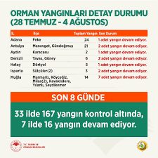 Alınan bilgiye göne, dörtyol ilçesine bağlı beşikgöl mevkisinde sabah saatlerinde henüz belirlenemeyen nedenle çıkan orman yangının devam ettiği belirtildi. Xatds3kmb0gwlm