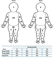 paediatric lund and browder chart download scientific diagram