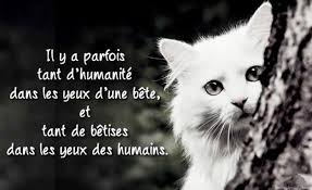 Pin On Citations Quote Motivation Inspiration