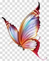 Multicolored Butterfly Butterfly Color Drawing Ketupat Transparent Background Png Clipart Butterfly Illustration Butterfly Drawing Colorful Drawings