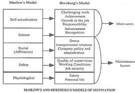 Motivation which are pertinent to the herzberg's theory can be very helpful to a manager in deciding how to develop a motivated workforce. Comparison Of Maslow And Herzberg Theory Of Motivation