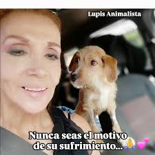 Lupis Animalista