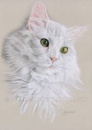 Video, though, is a better way to learn the drawing skills needed to make a decent effort at drawing a cat for the first time. Youtube Patreon Facebook Tumblr Twitter This Portrait Of A Border Collie Is Made With Pastel Pencils Size 40x30 Cm Angora Cats Cat Portraits Drawings