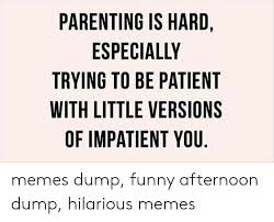 These are the best memes of 2020 so far, with more bound to come. Parenting Is Hard Especially Trying To Be Patient With Little Versions Of Impatient You Memes Dump Funny Afternoon Dump Hilarious Memes Funny Meme On Me Me