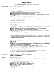 Management and hr consultant resume template sample hr cv template hr cv resumes are a little different Hr Payroll Resume Samples Velvet Jobs